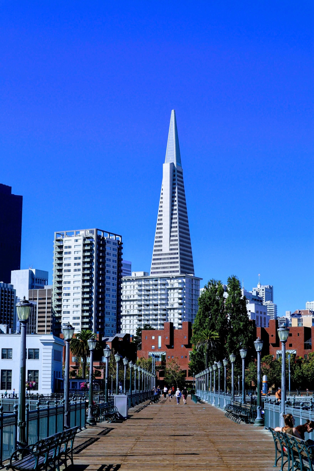 transamerica pyramid